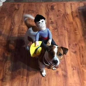 Meet your Posher, Monica